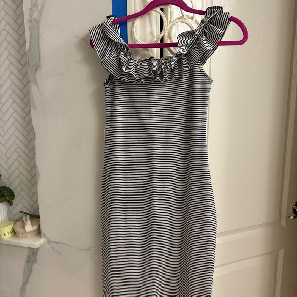 Zara Black and White Striped Dress